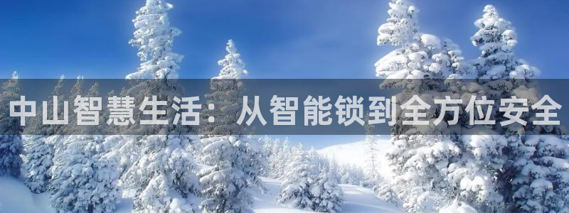 开丰娱乐登入地址在哪：中山智慧生活：从智能锁到全方位安全