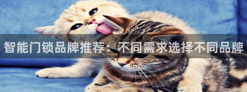 开丰娱乐山67五壹叁八：智能门锁品牌推荐：不同需求选择不同品
