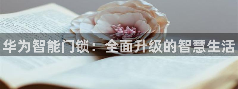 开丰娱乐官网电话：华为智能门锁：全面升级的智慧生活