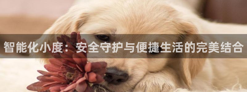 开丰娱乐登入地址在哪：智能化小度：安全守护与便捷生活的完美结