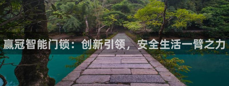 开丰娱乐注册登录：赢冠智能门锁：创新引领，安全生活一臂之力