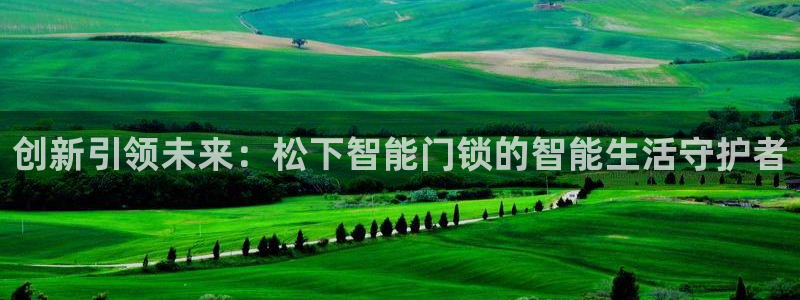 开丰娱乐注册资金多少：创新引领未来：松下智能门锁的智能生活守