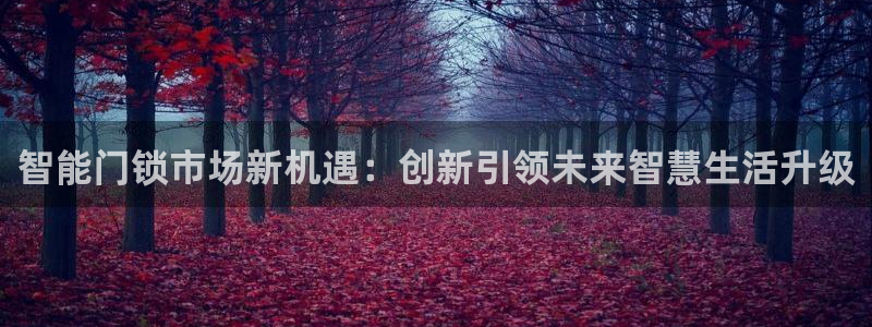 开丰娱乐登入地址在哪查：智能门锁市场新机遇：创新引领未来智慧