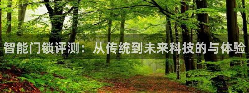开丰娱乐与六七五一38：智能门锁评测：从传统到未来科技的与体