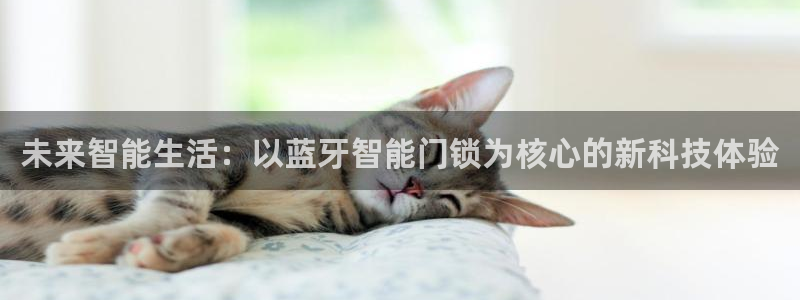开丰娱乐2登录：未来智能生活：以蓝牙智能门锁为核心的新科技体