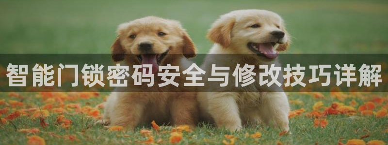开丰娱乐左7O667：智能门锁密码安全与修改技巧详解