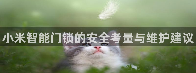 开丰娱乐2登录：小米智能门锁的安全考量与维护建议