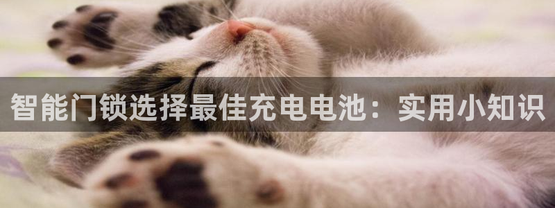 开丰娱乐下：智能门锁选择最佳充电电池：实用小知识