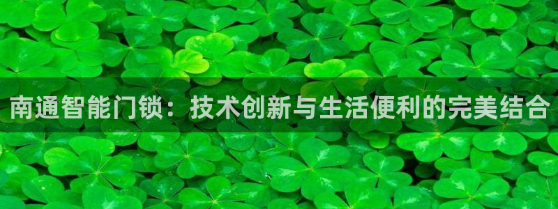 开丰娱乐于六七五一38：南通智能门锁：技术创新与生活便利的完