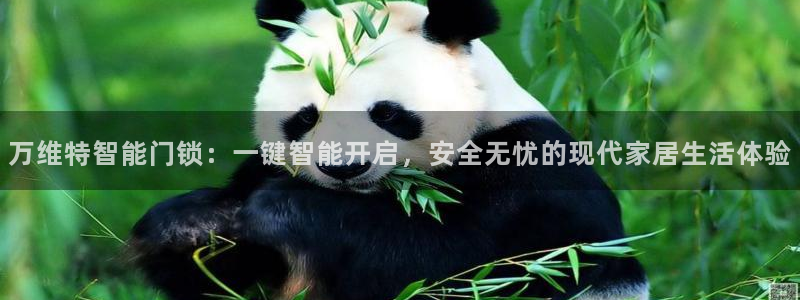开丰娱乐平台登录网址：万维特智能门锁：一键智能开启，安全无忧