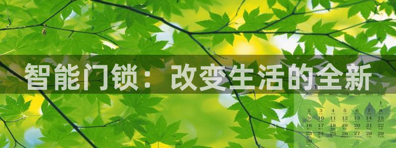 开丰娱乐开户：智能门锁：改变生活的全新