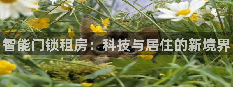 开丰娱乐：智能门锁租房：科技与居住的新境界