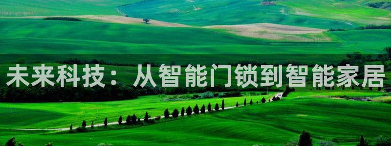 开丰娱乐网站官网：未来科技：从智能门锁到智能家居