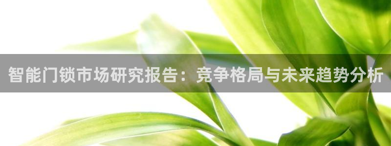如何注册开丰娱乐账号：智能门锁市场研究报告：竞争格局与未来趋