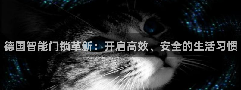开丰娱乐登入地址是什么：德国智能门锁革新：开启高效、安全的生