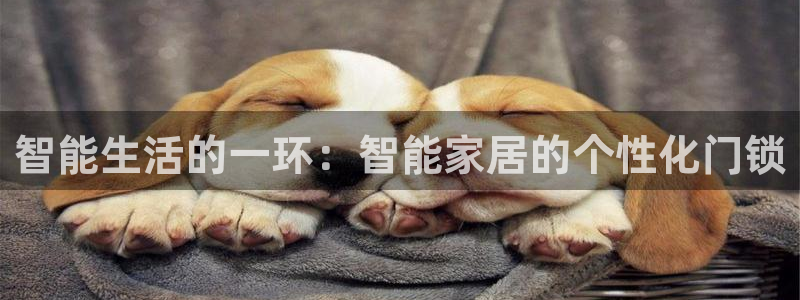 开丰娱乐67 5138：智能生活的一环：智能家居的个性化门锁