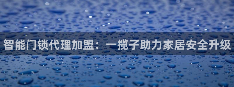 开丰娱乐官网首页：智能门锁代理加盟：一揽子助力家居安全升级