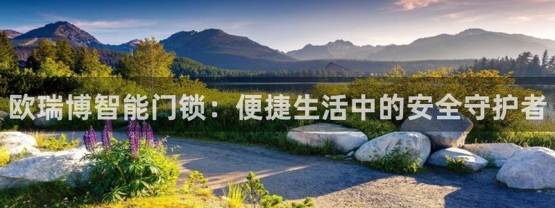开丰娱乐注册登录不了：欧瑞博智能门锁：便捷生活中的安全守护者