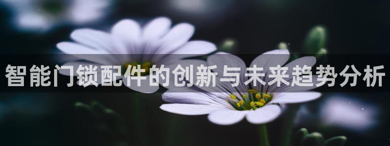 开丰娱乐千67五壹叁八：智能门锁配件的创新与未来趋势分析