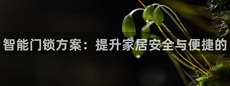 开丰娱乐登录地址入口：智能门锁方案：提升家居安全与便捷的