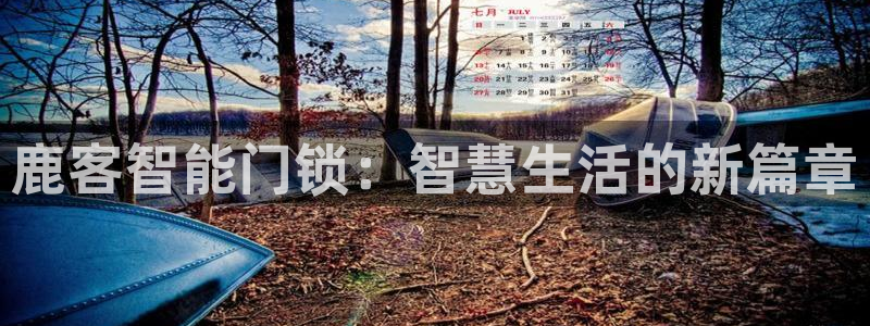 开丰娱乐下载安装：鹿客智能门锁：智慧生活的新篇章