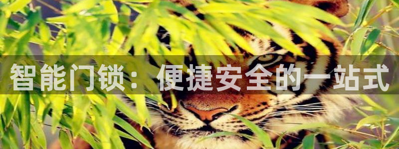 开丰娱乐官网电话：智能门锁：便捷安全的一站式