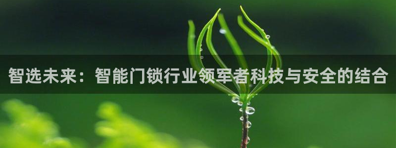 开丰娱乐联系q徽22212：智选未来：智能门锁行业领军者科技