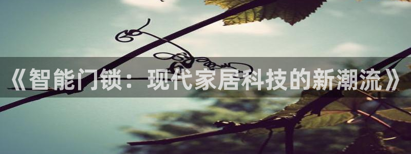 开丰娱乐平台地址：《智能门锁：现代家居科技的新潮流》