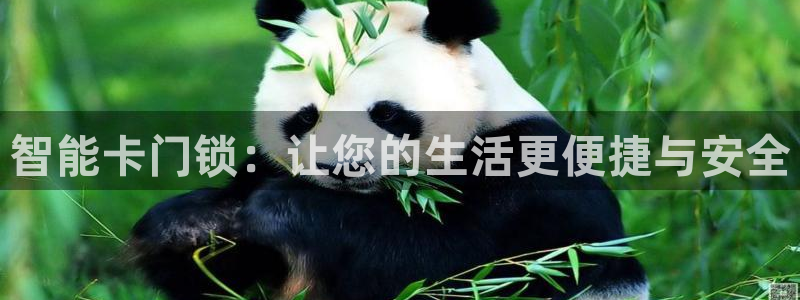 开丰娱乐注册登录不了：智能卡门锁：让您的生活更便捷与安全