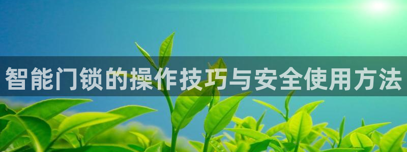 开丰娱乐前：智能门锁的操作技巧与安全使用方法