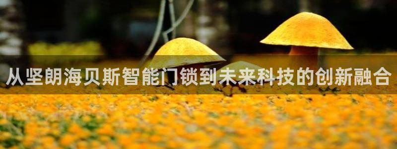 开丰娱乐月：从坚朗海贝斯智能门锁到未来科技的创新融合