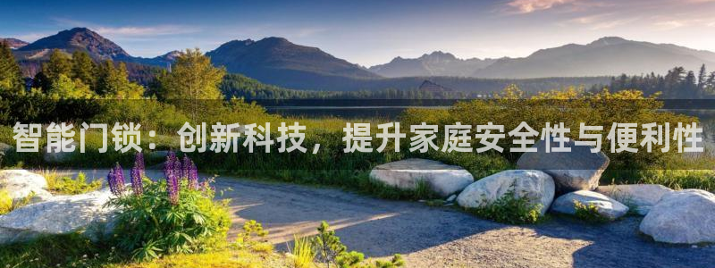 开丰娱乐登录平台下载：智能门锁：创新科技，提升家庭安全性与便