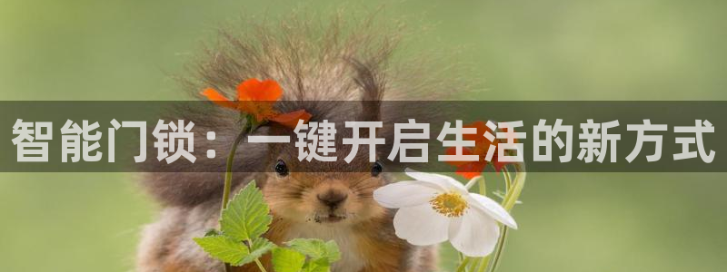 开丰娱乐科技：智能门锁：一键开启生活的新方式