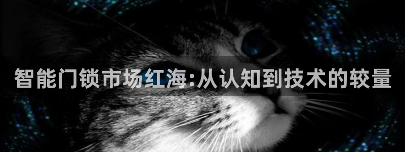 开丰娱乐下7O667：智能门锁市场红海:从认知到技术的较量