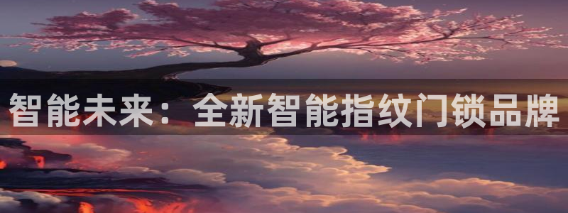 如何注册开丰娱乐账号：智能未来：全新智能指纹门锁品牌