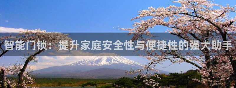开丰娱乐千67五壹叁八：智能门锁：提升家庭安全性与便捷性的强