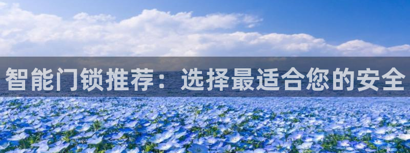 开丰娱乐67 5138：智能门锁推荐：选择最适合您的安全