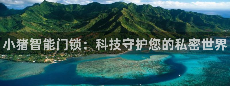 开丰娱乐趣 7O935：小猪智能门锁：科技守护您的私密世界