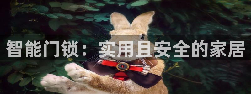 开丰娱乐登入：智能门锁：实用且安全的家居