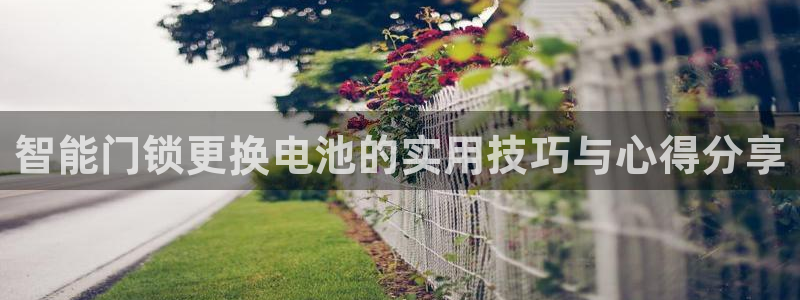 开丰娱乐注册登录：智能门锁更换电池的实用技巧与心得分享