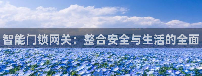 开丰娱乐右7O667：智能门锁网关：整合安全与生活的全面