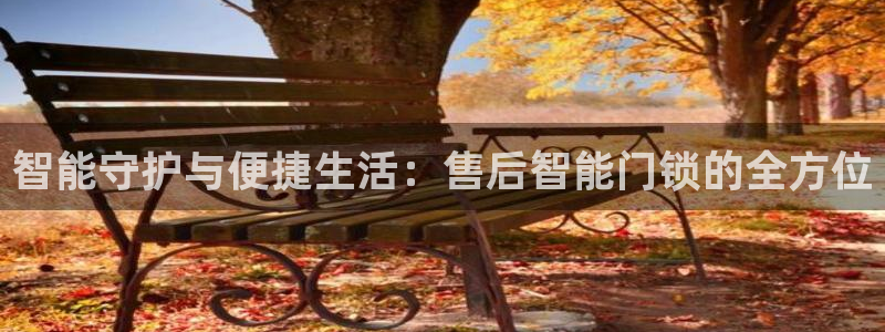开丰娱乐官网招聘：智能守护与便捷生活：售后智能门锁的全方位