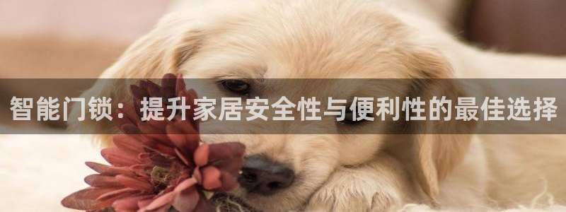 开丰娱乐官网：智能门锁：提升家居安全性与便利性的最佳选择