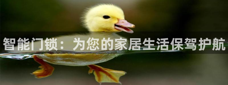 开丰娱乐主管家去判官333OO：智能门锁：为您的家居生活保驾