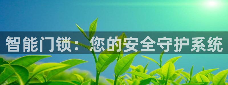 开丰娱乐网址：智能门锁：您的安全守护系统