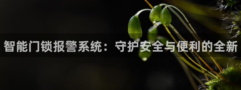 开丰娱乐巾67五壹叁八：智能门锁报警系统：守护安全与便利的全