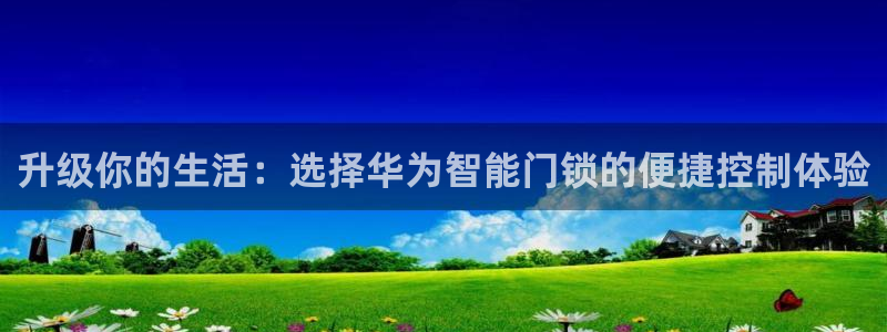 开丰娱乐登入地址在哪：升级你的生活：选择华为智能门锁的便捷控