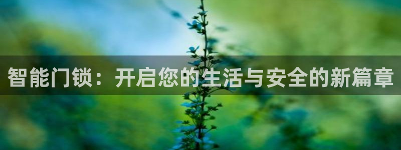 开丰娱乐网站官网入口：智能门锁：开启您的生活与安全的新篇章