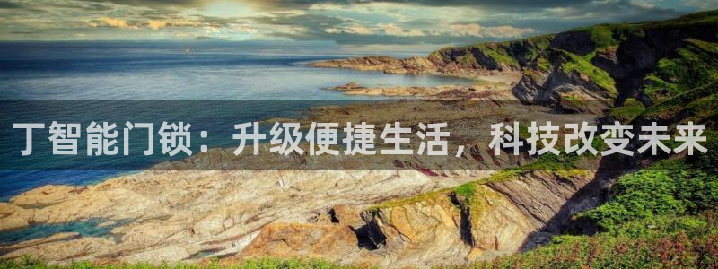 开丰娱乐官网平台电话：丁智能门锁：升级便捷生活，科技改变未来