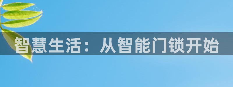 开丰娱乐网站官网入口：智慧生活：从智能门锁开始